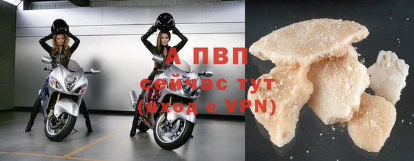 ECSTASY Карпинск