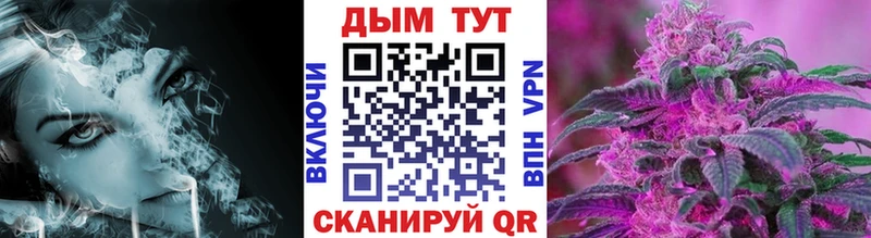 Каннабис сатива  Купить где  Воркута 